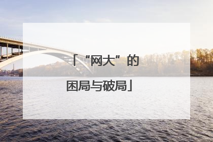 “网大”的困局与破局